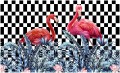 Fototapeta zwierzęta flamingi fototapety
