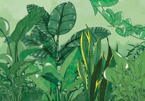 Fototapeta LIŚCIE kwiaty MONSTERA listki