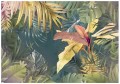 Fototapeta liście monstera palmy listki