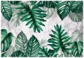 Fototapeta liście monstera palmy listki