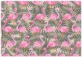 Fototapeta zwierzęta flamingi fototapety