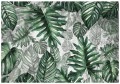Fototapeta liście monstera palmy listki