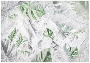 Fototapeta liście monstera palmy