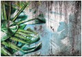 Fototapeta liście monstera palmy