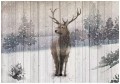 Fototapeta jeleń jak malowany na deskach