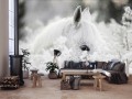 Fototapeta koń konie zwierzęta fototapety