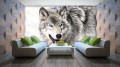 Fototapeta zwierzęta wilk wilki fototapety