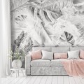Fototapeta liście monstera palmy