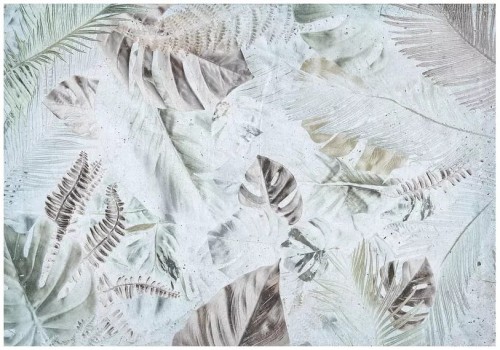 Fototapeta liście monstera palmy