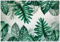 Fototapeta liście monstera palmy listki