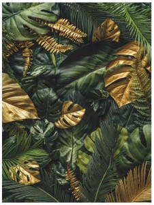 Fototapeta 3D liście monstera palmy