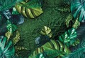 Fototapeta LIŚCIE kwiaty MONSTERA listki