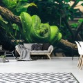 Fototapeta liście wąż dżungla fototapety