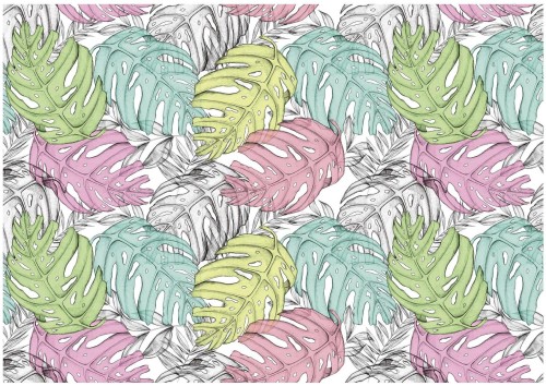Fototapeta liście monstera fototapety
