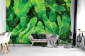 Fototapeta liście monstera fototapety