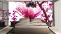 Fototapeta kwiat magnolia fototapety
