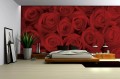 Fototapeta róża róże kwiaty fototapety