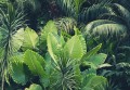 Fototapeta LIŚCIE kwiaty MONSTERA listki
