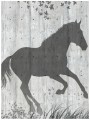 Fototapeta zwierzęta konie fototapety