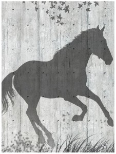 Fototapeta zwierzęta konie fototapety