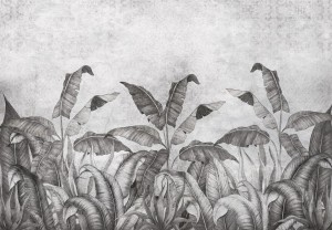 Fototapeta LIŚCIE kwiaty MONSTERA palmy