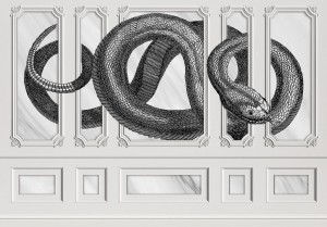 Fototapeta wąż żmija MURAL na flizelinie + KLEJ GRATIS