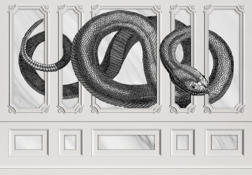 Fototapeta wąż żmija MURAL na flizelinie + KLEJ GRATIS