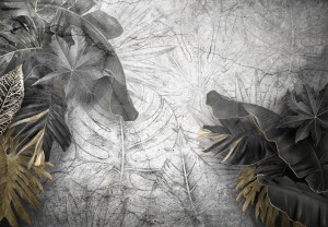 Fototapeta LIŚCIE kwiaty MONSTERA listki