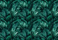 Fototapeta LIŚCIE kwiaty MONSTERA listki