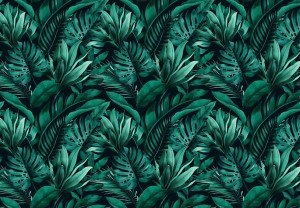 Fototapeta LIŚCIE kwiaty MONSTERA listki