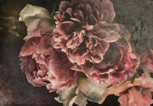 Fototapeta 3D efekt LIŚCIE kwiaty RÓŻE