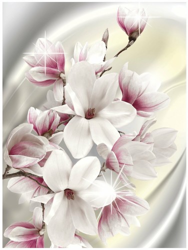 Fototapeta kwiaty magnolie fototapety