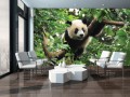 Fototapeta zwierzęta 3d fototapety