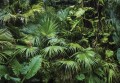 Fototapeta LIŚCIE kwiaty MONSTERA listki