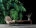Fototapeta LIŚCIE kwiaty MONSTERA palmy