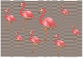 Fototapeta zwierzęta flamingi fototapety