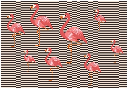 Fototapeta zwierzęta flamingi fototapety