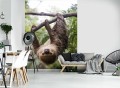 Fototapeta zwierzęta leniwiec fototapety
