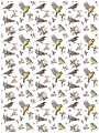 Fototapeta ptaki liście kwiaty fototapety