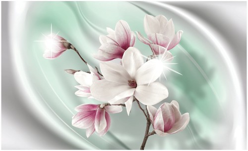 Fototapeta kwiat magnolia fototapety