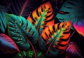 Fototapeta LIŚCIE kwiaty MONSTERA palmy