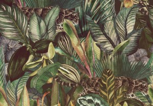 Fototapeta LIŚCIE kwiaty MONSTERA listki