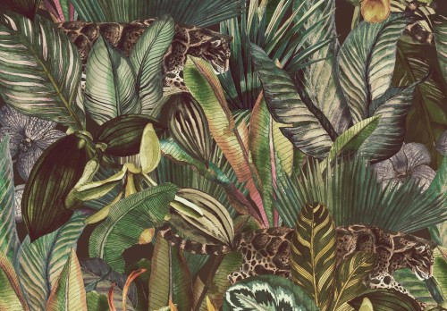 Fototapeta LIŚCIE kwiaty MONSTERA listki