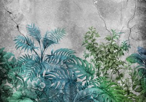 Fototapeta 3D liście monstera palmy