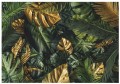 Fototapeta liście monstera palmy listki