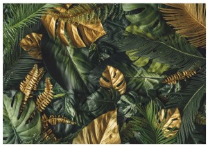 Fototapeta liście monstera palmy listki