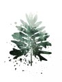 Fototapeta 3D liście monstera palmy