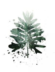 Fototapeta 3D liście monstera palmy