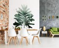 Fototapeta 3D liście monstera palmy