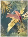 Fototapeta 3D liście monstera palmy